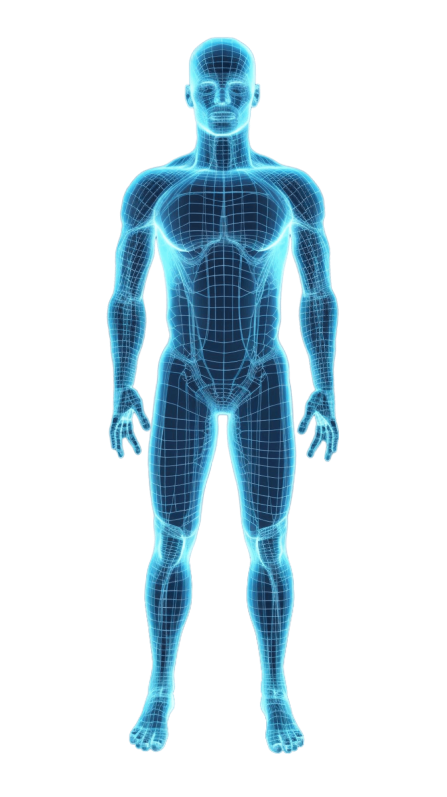Full-body health screening figure